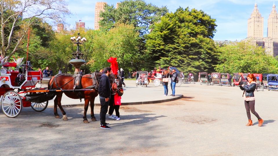 NYC: Guided Standard Central Park Carriage Ride (4 Adults)