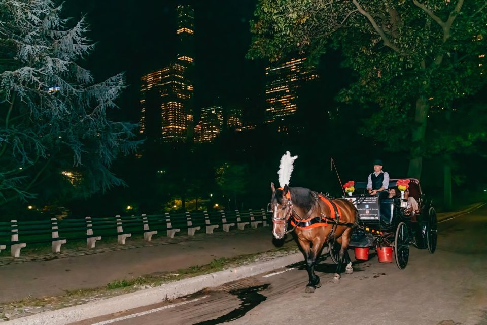 NYC MOONLIGHT HORSE CARRIAGE RIDE Through Central Park - Highlights