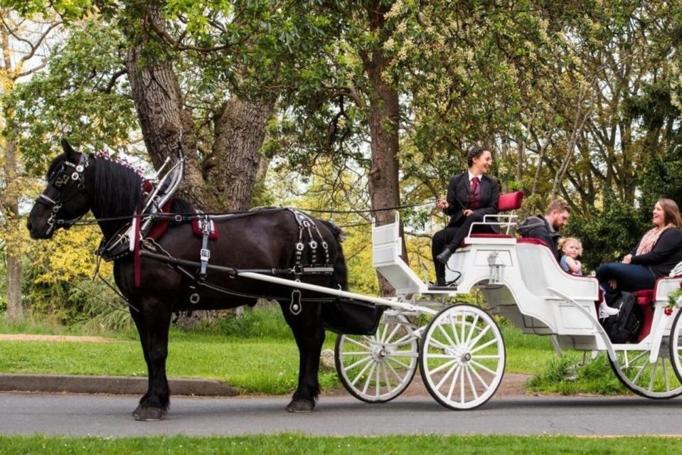 NYC: Private Central Park Horse Carriage Ride With Guide - Key Points