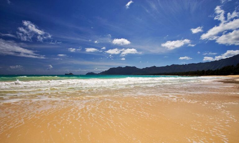 Oahu: 16-Point Guided Circle Tour With Snorkeling and Dole