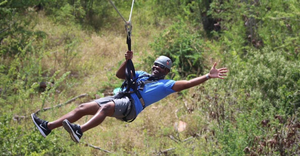 Oahu: 3 Ziplines and Coral Crater Tour With Transfer - Key Points