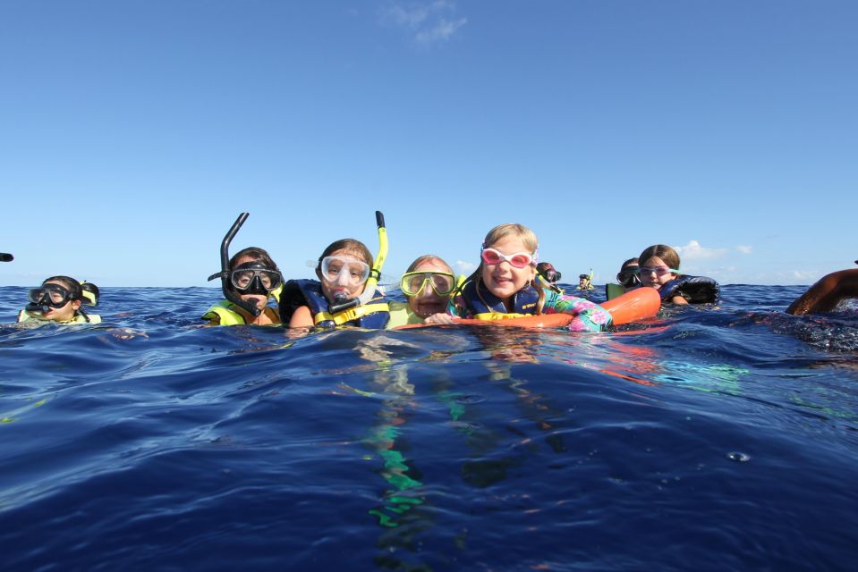 Oahu: Dolphin Swim and Snorkeling Speedboat Tour - Key Points
