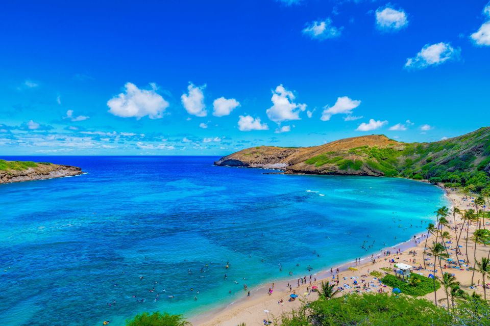 Oahu: Full-Day Island Highlights Tour With Transfer - Key Points