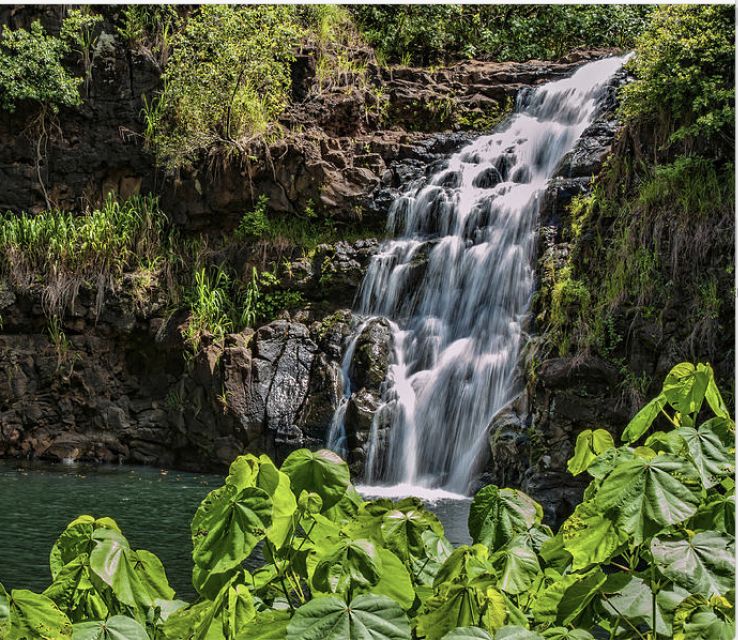 Oahu Hidden Gems & Waimea Botanical Garden/Waterfall Tour - Key Points