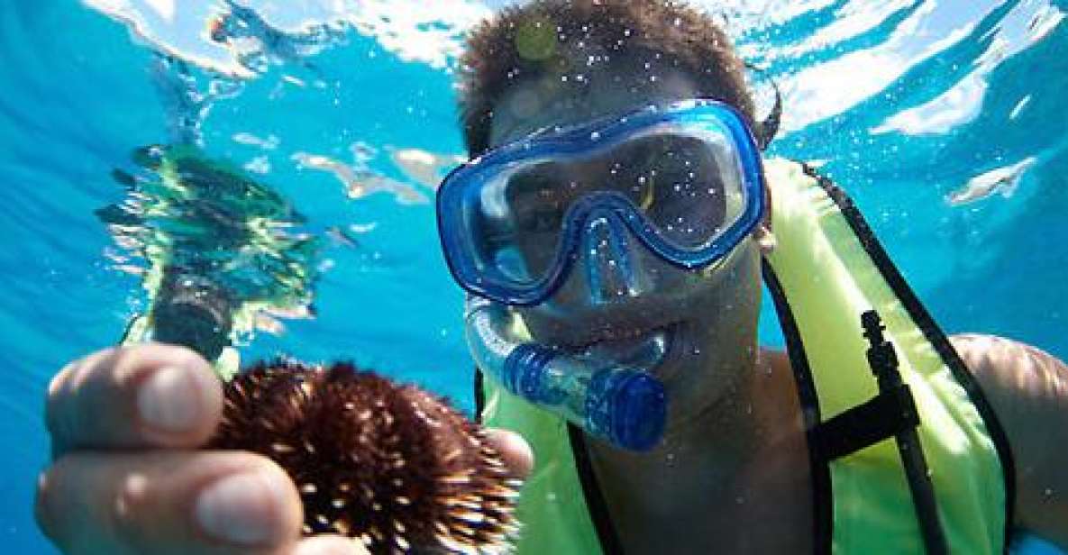 Oahu: Hilton Hawaiian Village Afternoon Snorkel Tour - Activity Details