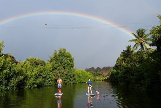 Oahu North Shore Small-Group Stand-Up Paddleboard Turtle Tour - Key Points