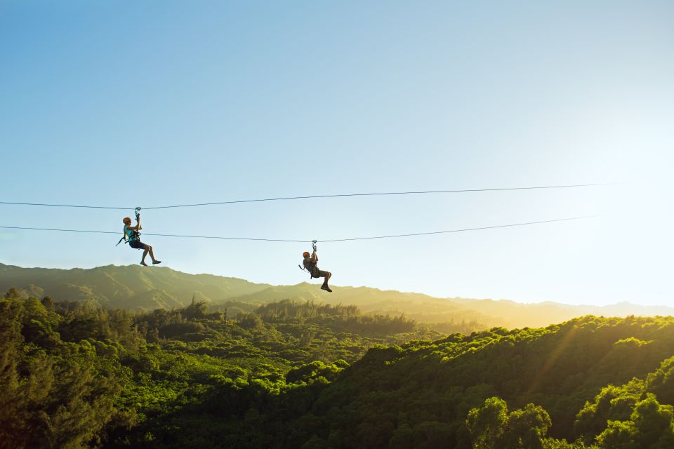 Oahu: North Shore Zip Line Adventure With Farm Tour - Key Points