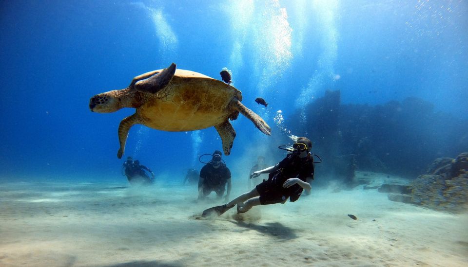 Oahu: Scuba Diving Lesson for Beginners - Key Points