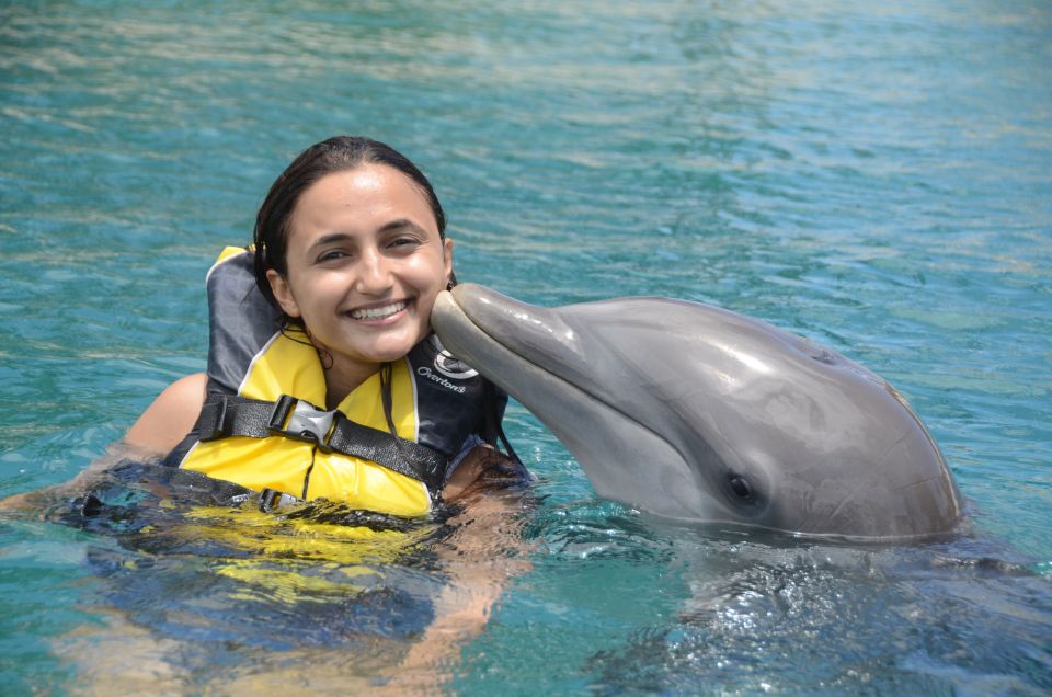 Ocean World Dolphin Swim & Sea Lion Combo From Puerto Plata - Key Points