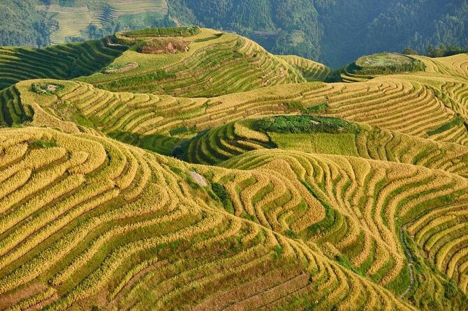 One Day Private Longshen Rice Terraces Tour Including Lunch - Key Points