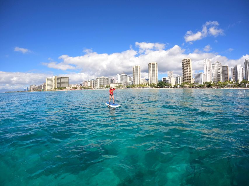 One on One Private SUP Lessons in Waikiki - Key Points