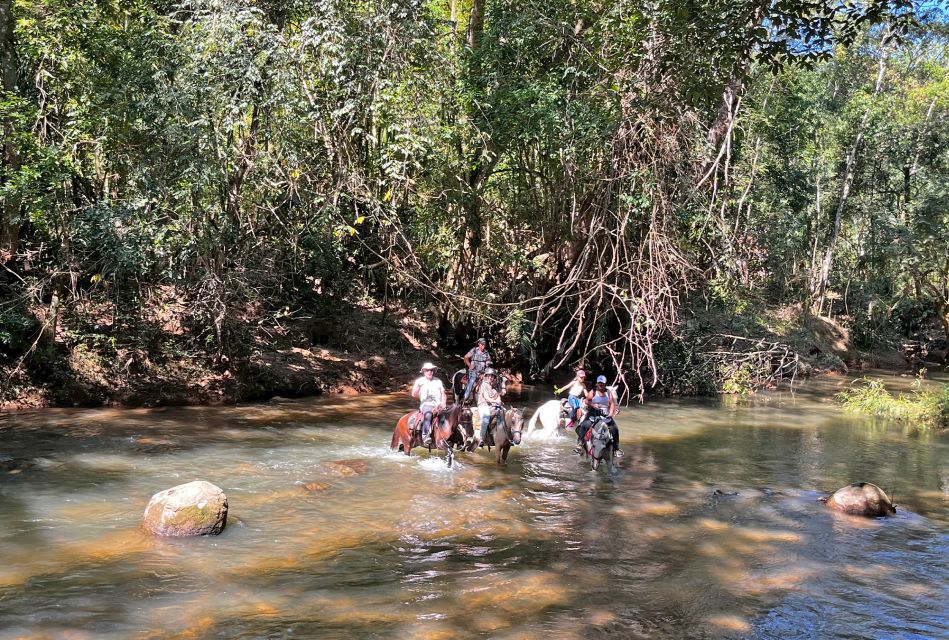 Paraty: 3-Hour Rainforest Horseback Ride - Key Points