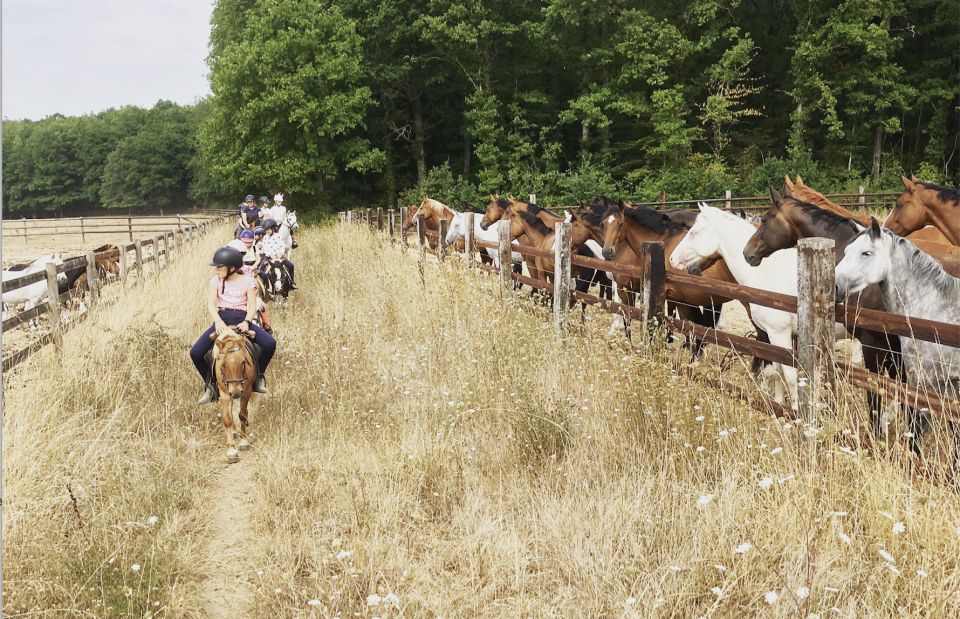 Paris : Horse Riding Camp With English Lessons in Senonches - Key Points