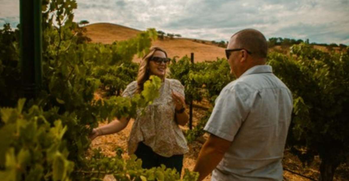 Paso Robles: Sidecar Premier Wine Tour With Tastings