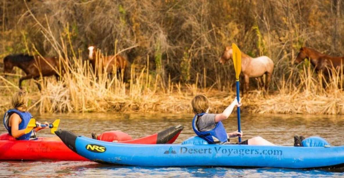 Phoenix & Scottsdale: Lower Salt River Kayaking Tour - Key Points