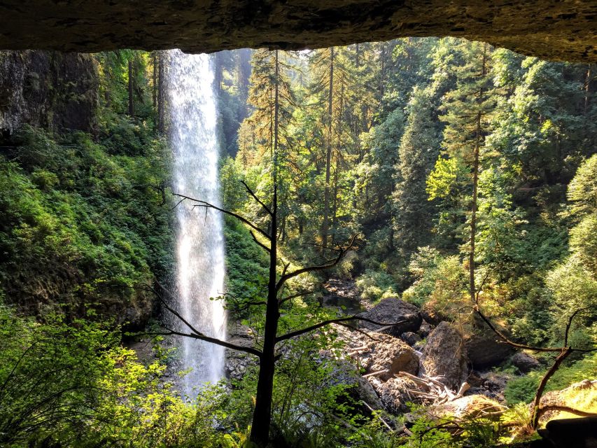 Portland: Silver Falls Hike and Wine Tour - Key Points