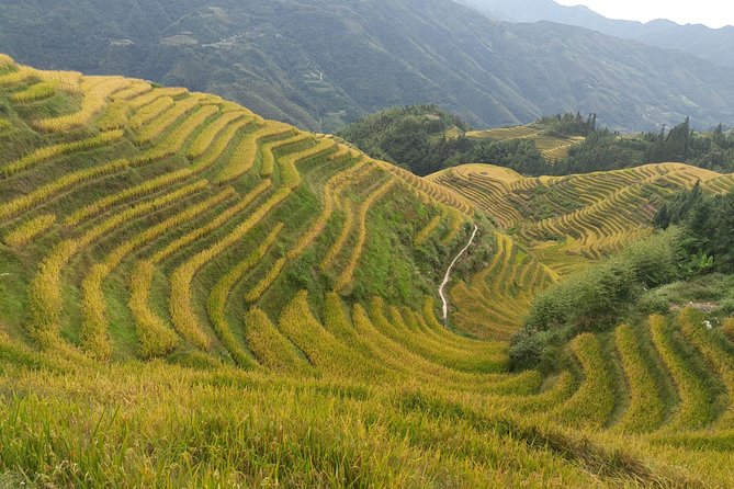 Private Day Tour: Longji Rice Terraces and Long Hair Village - Tour Highlights