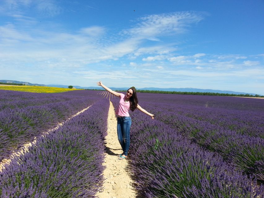 Private Lavender of Provence Tour - Key Points