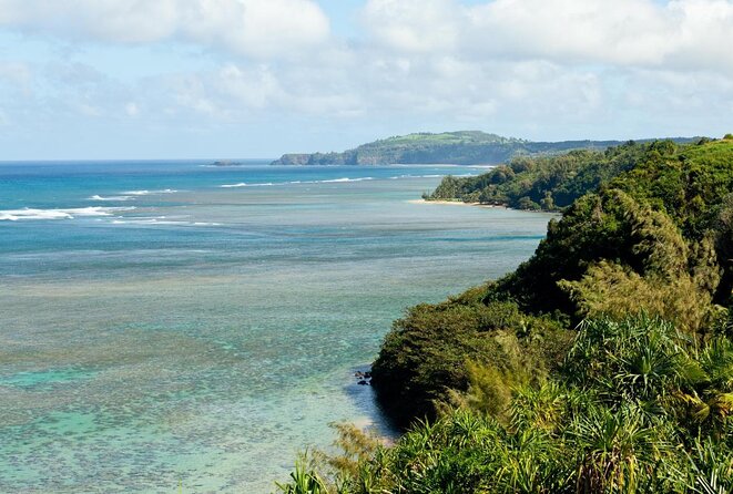 Private Luxury Tour of Kauai: North & East Shores - Key Points