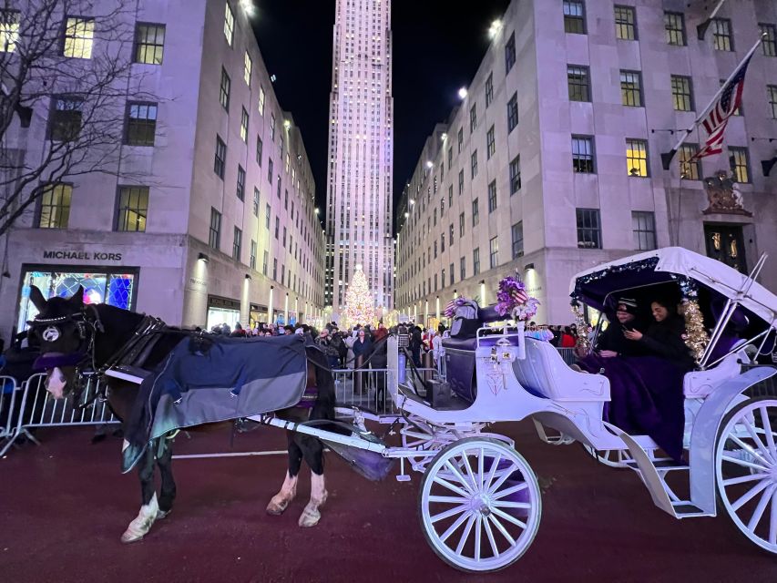 Private NYC Lights or Christmas Lights Horse Carriage Tour - Key Points