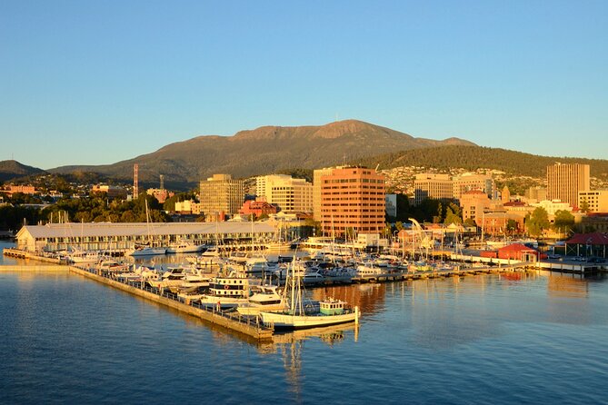 Private Tour of Tahune Airwalk and Hastings Caves From Hobart - Key Points