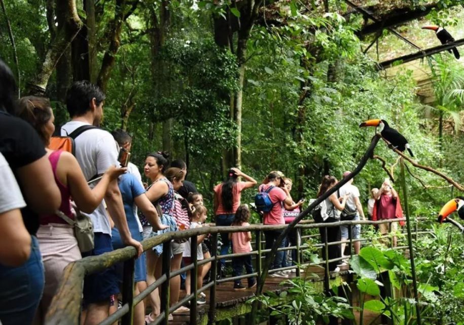 Puerto Iguazu: Iguaza Falls Brazilian Side & Bird Park Tour - Key Points