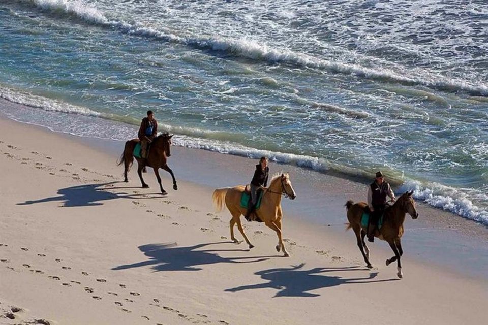Puerto Plata: 2-Hour Horseback Ride on the Beach - Key Points