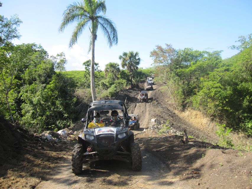 Puerto Plata: Damajaqua Cascades, Buggy Ride, and Zip Lining - Key Points