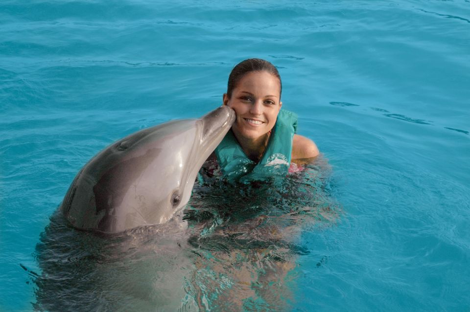 Puerto Plata Ocean World Dolphin Swim - Key Points