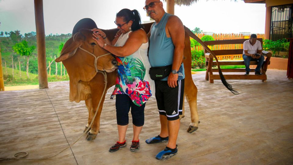 Punta Cana: 3 Tour Zip Line, Buggy and Horse Ride. - Key Points