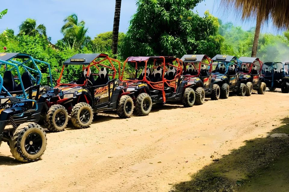 Punta Cana: Buggy Tour With Beach and Cenote - Key Points