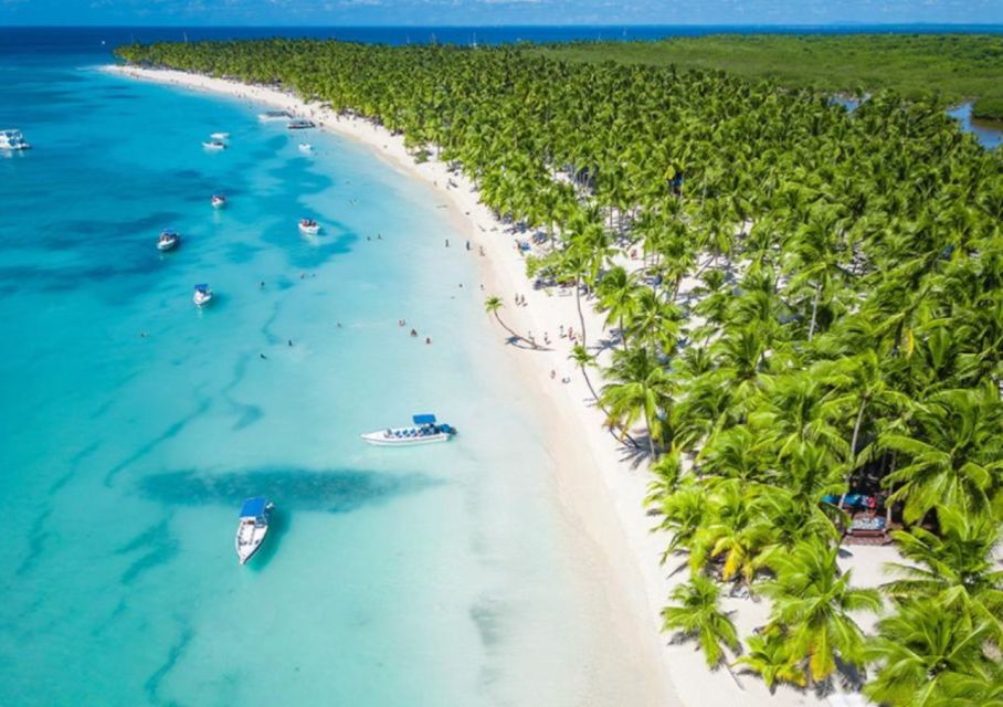 Punta Cana: Catamaran Boat to Saona Island With Buffet Lunch - Language Options and Accessibility