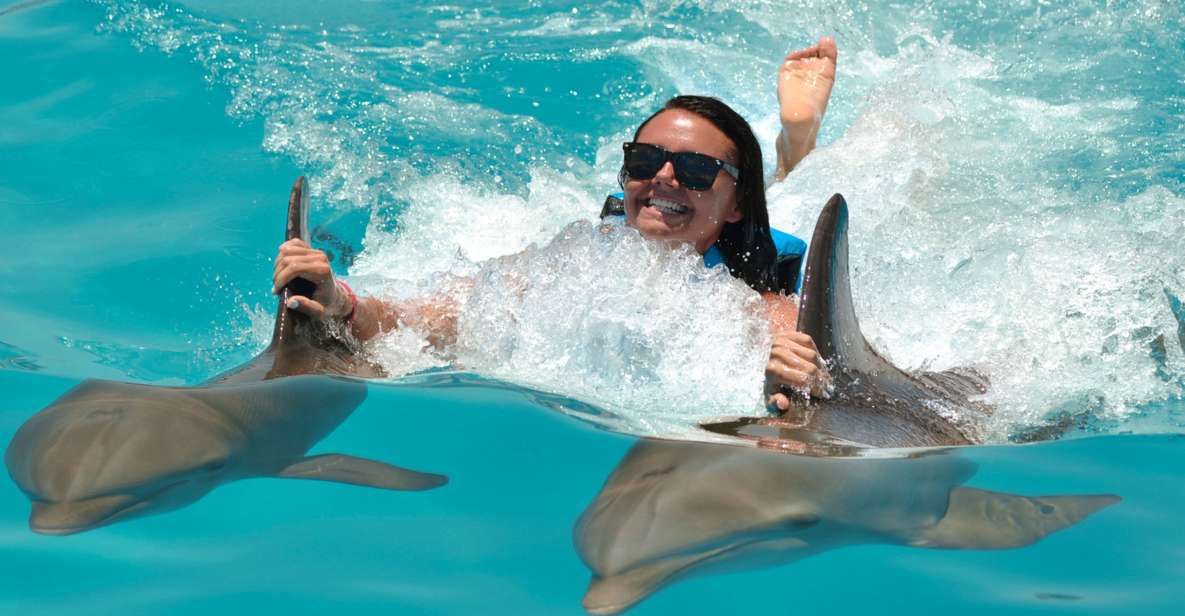 Punta Cana: Dolphin Discovery Swims and Encounters - Key Points