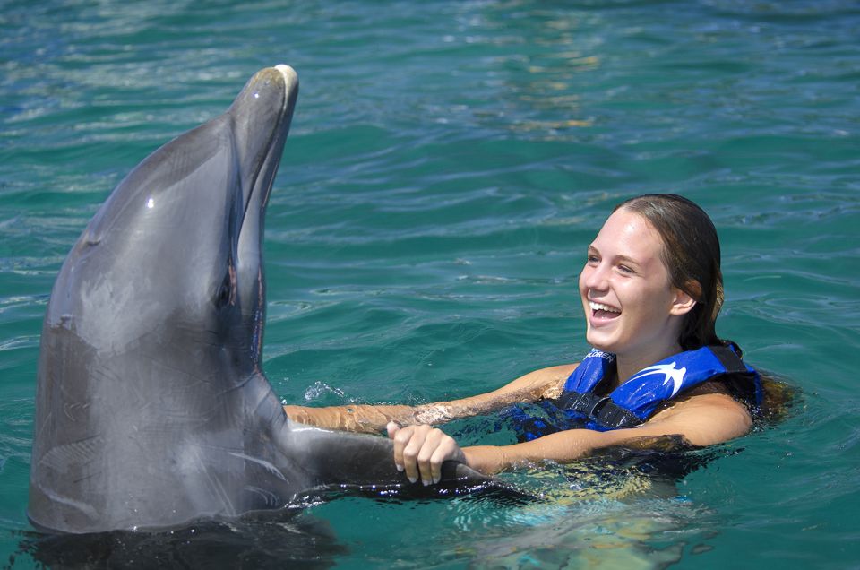 Punta Cana: Dolphin Explorer Swims and Interactions - Key Points