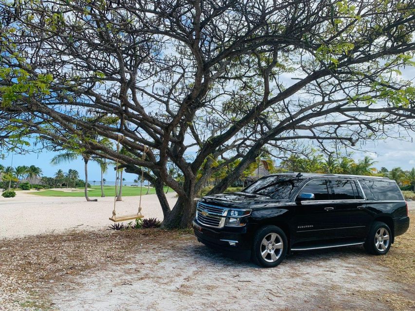 Punta Cana: Private VIP Round Trip Transportation - Key Points