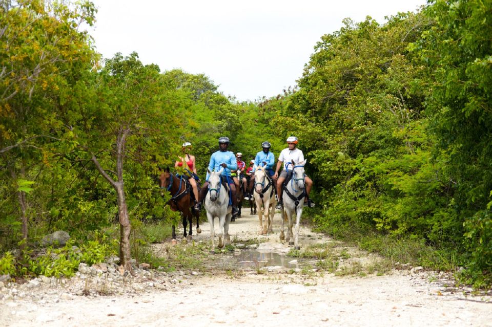 Punta Cana: Swim With Horses Guided Horseback Tour - Key Points