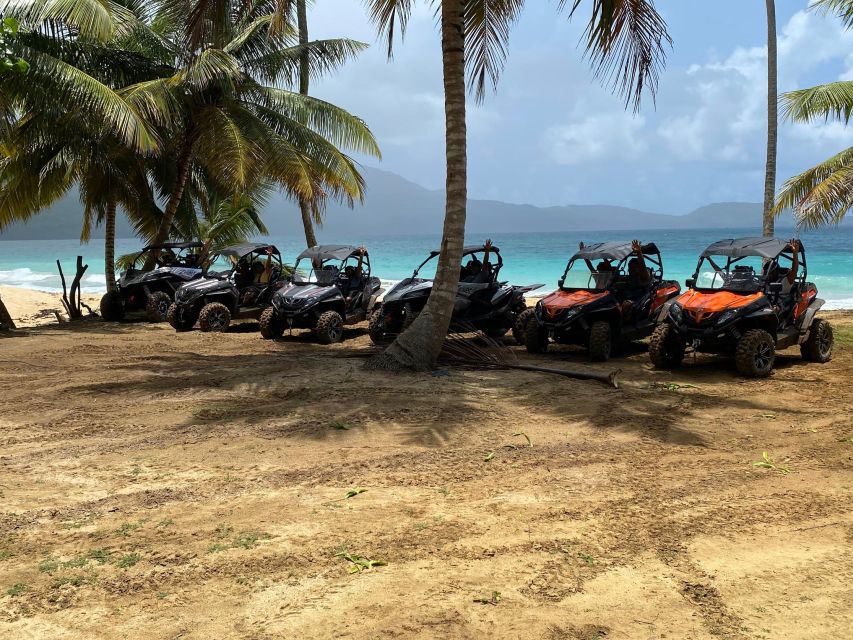 Punta Cana:Samana Panoramiccity Tour+Buggy Tour+Playa Rincon - Key Points