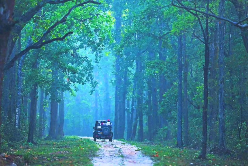 Rajasthan: Ranthambore National Park Private Jeep Safari - Tour Details