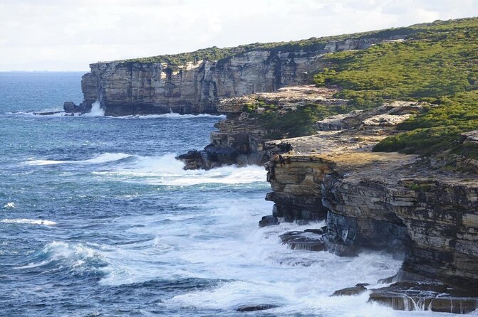 Royal National Park Hike, Swim and Wildlife Tour - Key Points