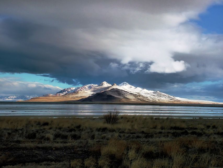 Salt Lake City: Great Salt Lake Antelope Island Guided Tour - Key Points