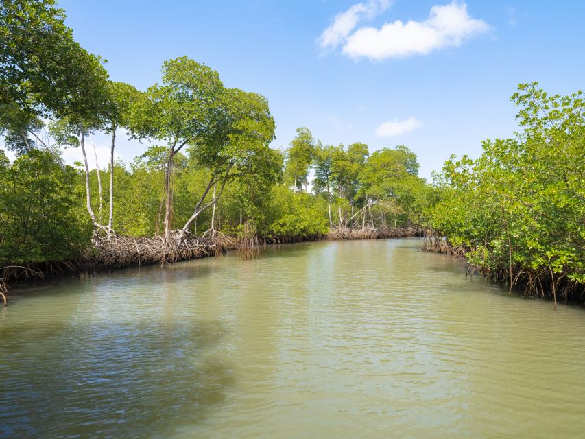 Santo Domingo: Los Haitises National Park Day Trip - Key Points