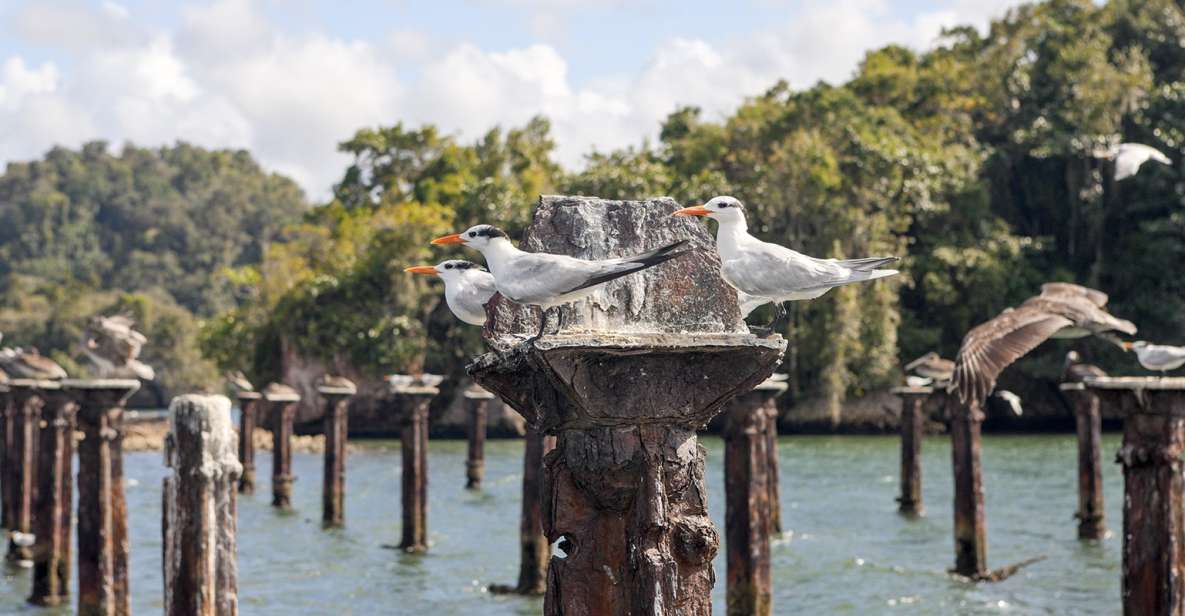 Santo Domingo: Los Haitises Private Day Trip - Tour Details