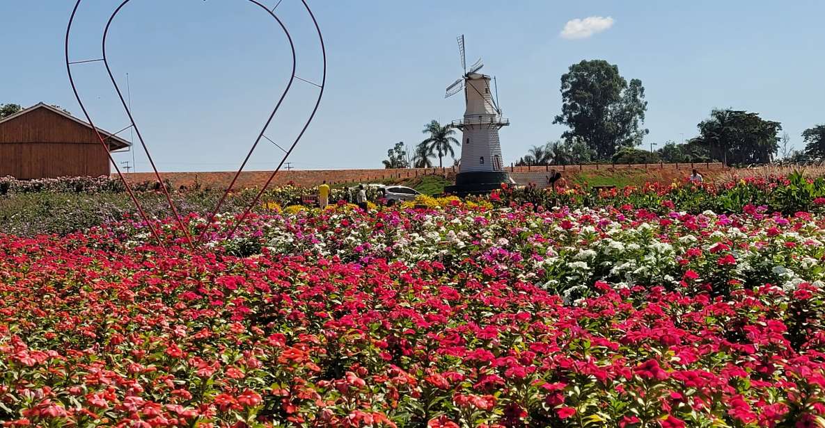 São Paulo: Holambra Colorful Flower Farm Guided Day Trip - Key Points