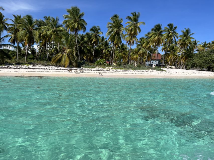 Saona Island: Small Group Virgin Beaches Cruise Day Trip - Key Points