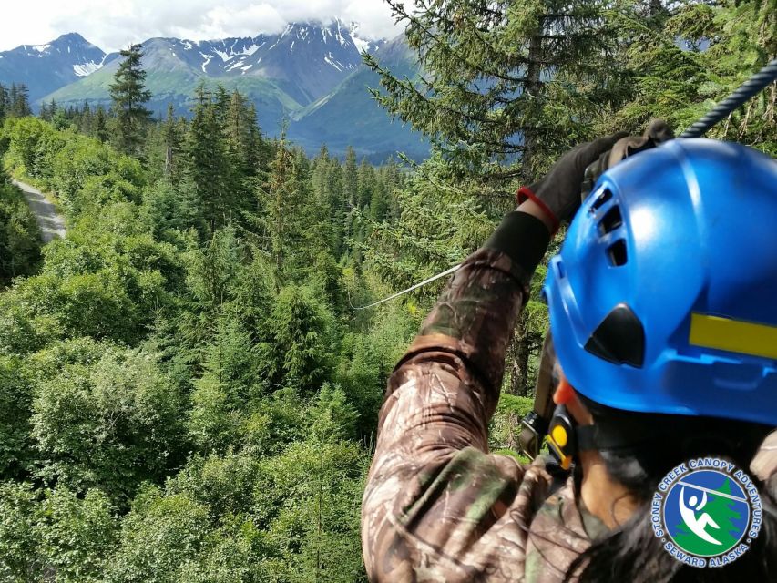 Seward: Stoney Creek Canopy Adventure - Experience Highlights