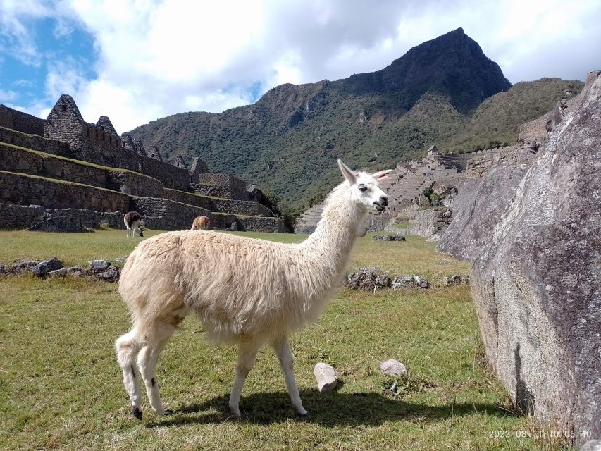 Short Inca Trail Hike, Sacred Valley, With Rainbow Mountain - Key Points