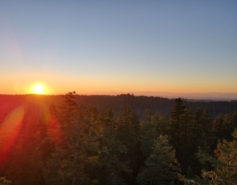 Silver Falls State Park: Tree Climbing Sunset Tour - Key Points