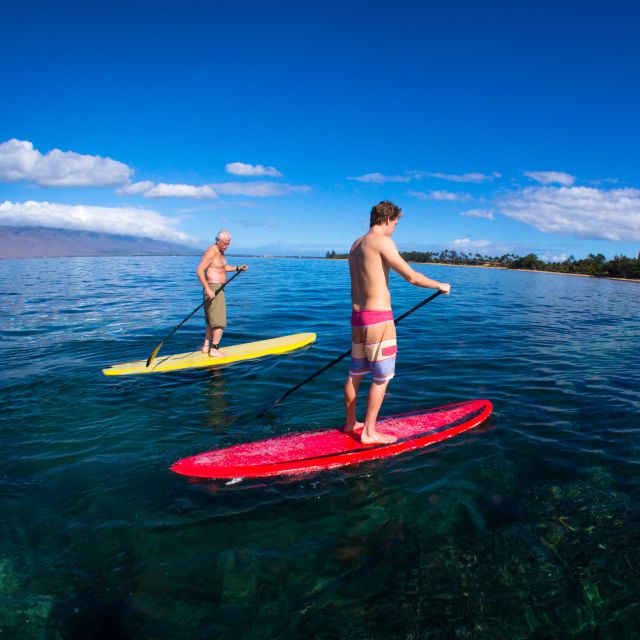 South Maui: Makena Bay Stand-Up Paddle Tour - Key Points