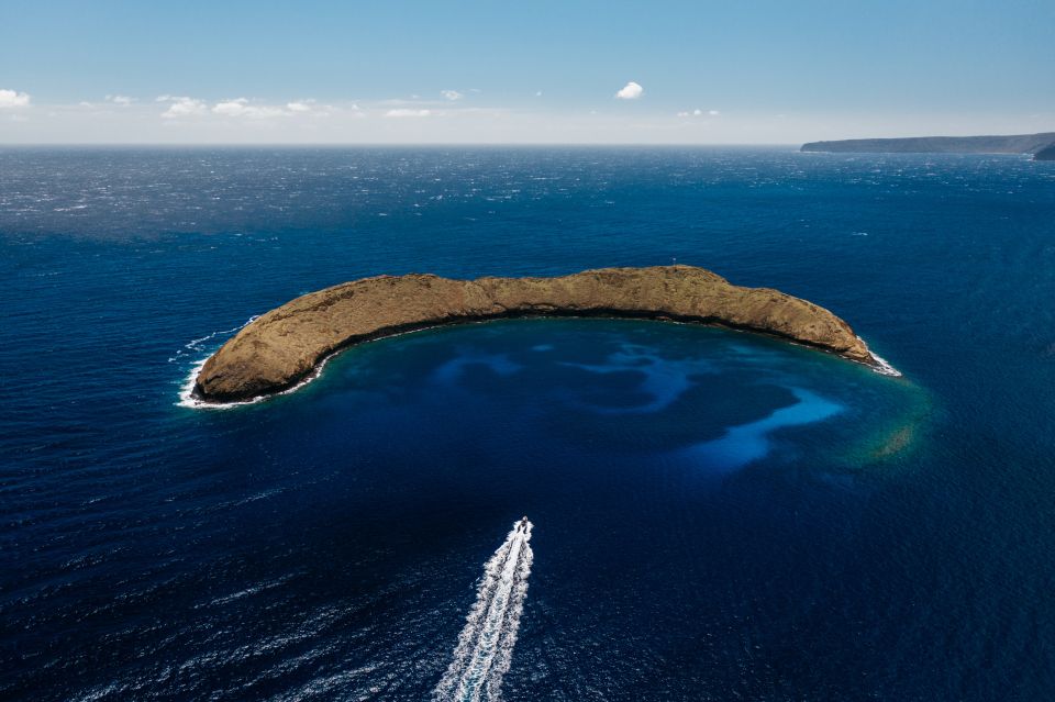 South Maui: Molokini Volcanic Crater Snorkeling Cruise - Key Points