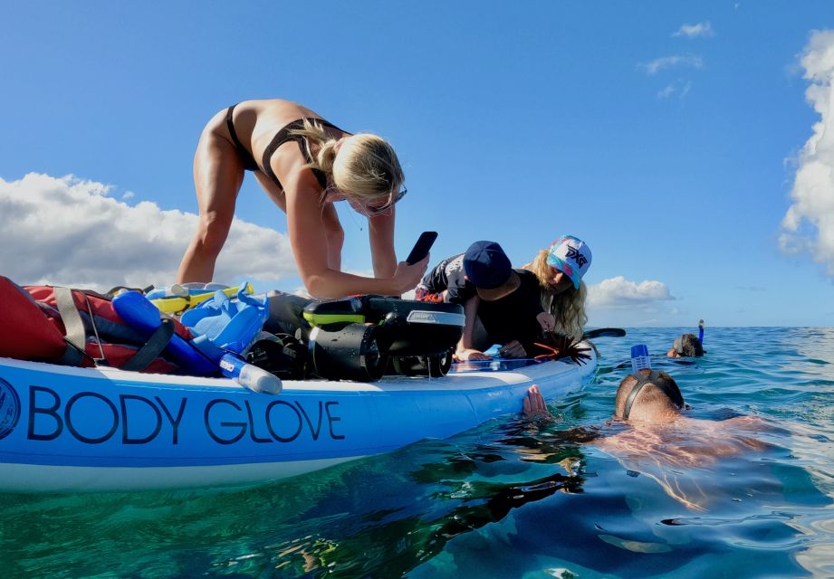South Maui: Snorkeling Tour for Non-Swimmers in Wailea Beach - Key Points
